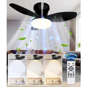 Benss Ceiling Fans With Lights And Remote, 24'' Dimmable Low Profile Ceiling Fan With Light, Socket Fan Light 2000 Lms, 3 Colors 3000K-6500K, Flush Mount, Quiet For Bedroom, Kitchen, Living Room,Black