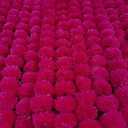 5Pc Marigold Garland 4.5Ft Long Strands of Artificial Marigold Flower Diwali Decorations Home Indian Décor for Pooja Wedding Spring Bush Floral Faux Garland Día de Muertos Décor Day of Dead Christmas