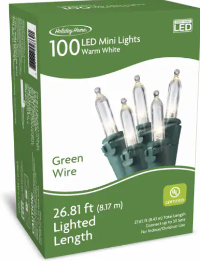 Holiday Home Indoor Outdoor 100 Green Wire LED Mini Christmas Lights - Warm White