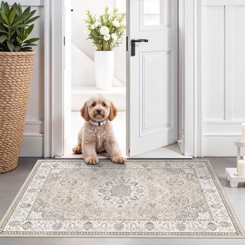 Washable 2x3 Entryway Area Rug - Neutral Kitchen Rug Runner Vintage Soft Floor Mat Non Slip Indoor Farmhouse Carpet for Bathroom Living Room Bedroom (2 X 3, Beige)