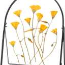 Double Glass Frame for Pressed Flowers Handmade, Metal Floating Picture Frame for Pressed Flower, Tabletop Display, Brass, ArcShaped, Black, 8x10 inches (FRAME ONLY) (8L" x 10W")