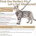 Cat Harness and Leash Kitten Harness Escape Proof Lightweight Breathable Mesh Cat Leash for Walking Travel, Grey, Large