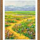 Golden State Art, 18x24 Vintage Ornate Finish Photo Frame with White Mat for 16x20 Picture. Color: Bronze