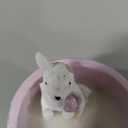 Easter Candles - Cherry Blossom Scented, Purple Polka Dot Candle with Cute Bunny, Easter Gifts for Kids Women Girls, Spring Home Decor