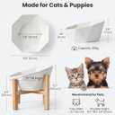 Ceramic Tilted Raised Cat Bowl - Elevated Food Bowl for Indoor Cats & Small Dogs - Shallow Wide Whisker-Friendly Design - Pet Dish Suitable for Feeding Dry, Wet, Treats & Canned Food - White