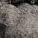 PAVILIA Black Sherpa Throw Blanket for Couch, Warm Plush Pom Pom Throw, Fuzzy Sofa Blanket, Lightweight Soft Cozy Fluffy With Pom Poms, 50x60