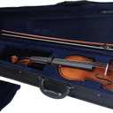 GKW 4/4 Students Beginner Violin Kit  Matte Finish Solid Wood Violin Set with Ebony Fingerboard, Carbon Fiber Tailpiece, Triangle Case, Bow, and Rosin for Students and Professionals