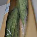Fake Ferns, 35IN Large Fake Bush Plants, 2 Artificial Boston Ferns with 39 Fronds for Outdoor Hanging Planter Garden Porch Entrance Home Decor