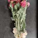 Artificial Flowers Silk Peony Pink Flowers Combo Rose Red Silk Flowers Bouquet 20Pcs 60Heads Fake Peonies for Faux Floral Arrangements Home Table Kitchen Wedding Party Farmhouse Decor