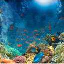 2 x Under The Sea Aquarium Background Colourful Corals Reefs Underwater Marine Views Fish Tank Background Ocean Lives Landscape Terrarium Background Tropical Fishes Aquarium Backdrop Decors 24x16in