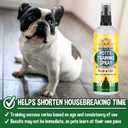 Bodhi Dog Potty Training Spray for Dogs - Pee Here Spray for Dogs & Puppies - Teaches The Right Spot Indoors or Outdoors - Works Great with Pee Pads - Made in USA (8oz)