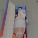 Amazmic Karaoke Microphone for Adults, Wireless Bluetooth Microphone for Singing Portable Karaoke Machine Handheld with LED Lights, Gift for Kids Adults Birthday Party, Home KTV(Rose Gold)