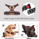 PHOEPET No Pull Dog Harnesses for Small Dogs Reflective Adjustable Front Clip Vest with Handle 2 Metal Rings 3 Buckles [Easy to Put on & Take Off] (XS, Orange)