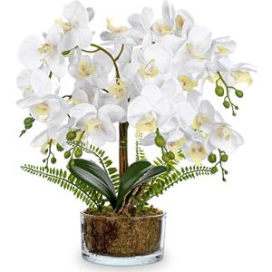 White Orchids Artificial Flowers 16.5" Faux Orchids Plant in Pot Fake Flower Arrangements with Glass Vases White Centerpieces for Kitchen Dining Room Tables Bathroom Nightstand Shelf Desk Decor, White Orchid & Moss