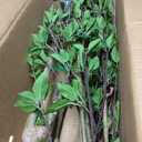 7ft Artificial Citrus Tree Minimalist Faux Tree for Indoor Dcor, Fake Critus Tree Perfect for Home, Office, Living Room, Bedroom & Porch
