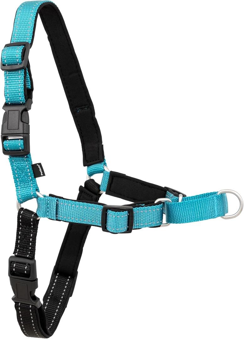 PetSafe Deluxe Easy Walk Harness - Trainer-Trusted Dog Chest Harness with Breathable Martingale Loop Design - Helps Stop Pulling with No Choking & Gagging - Large - Ocean (Large (Pack of 1))