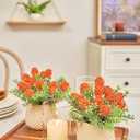 Fuxdre Fake Plants Small with 2 Pack, The Goleden Ball Flower for Bathroom Shelf Decor, Decorative Plants for Home Living Room Office Bedroom Table Tray Shelve Farmhouse Decor Indoor(Orange)