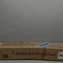 Bellacat Faux Black Olive Tree 7ft, Tall Faux Trees Indoor with Natural Trunk and Realistic Leaves. 7 Feet(84in) Artificial Tree for Home Office Dcor.