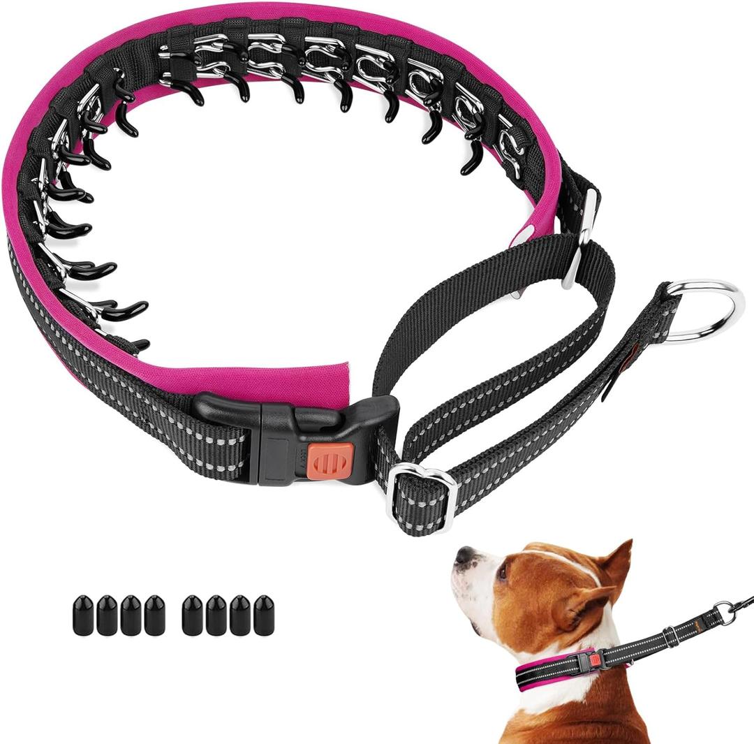 Mayerzon Martingale No Pull Collar for Small Medium Dogs, Patented Anti Pull Dog Collar with Buckle for Walking Training, with Neoprene Padding and Reflective Stitching, Adjustable(Hot Pink Trim, S) 
