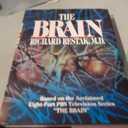 The Brain
