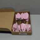 12 Pcs Candy Christmas Tree Poinsettia Flowers Artificial Christmas Tree Filler Decoration Pink with 12 Clips and Stems for Wreath Garland Holiday Wedding New Year Party Decor DIY Xmas 6 Inch