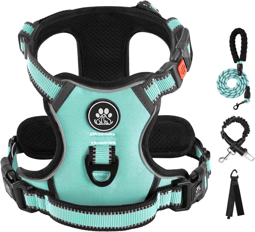 IVY&LANE No Pull Dog Harness with Leash Set, Reflective No Choke Pet Vest,Adjustable Oxford Dog Vest Harness with Easy Control Handle for Small Dogs (Turquoise, S)