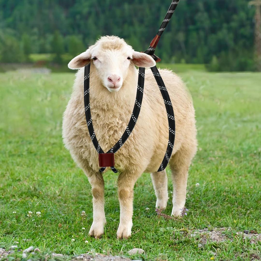 Goat Harness & Leash, Adjustable Step-in Sheep Harness, Goat Accessories, Livestock Halter Supplies for Goats and Sheep (Extra Large)