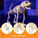 JOYIN Halloween Golden Retriever Skeleton 34” Animal Dog Plastic Skeleton with Movable Posable Joints for Haunted Houses Halloween Decorations, Graveyard Scenes, Outdoor Indoor Garden Party Decor