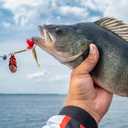 150 PCS Soft Plastic Baits, Paddle Tail Swim Baits, 1.96/2.36/2.75 Inch Fishing Soft Plastic Lures, Well Made and Easy to Catch for Fresh and Salt Water with Case