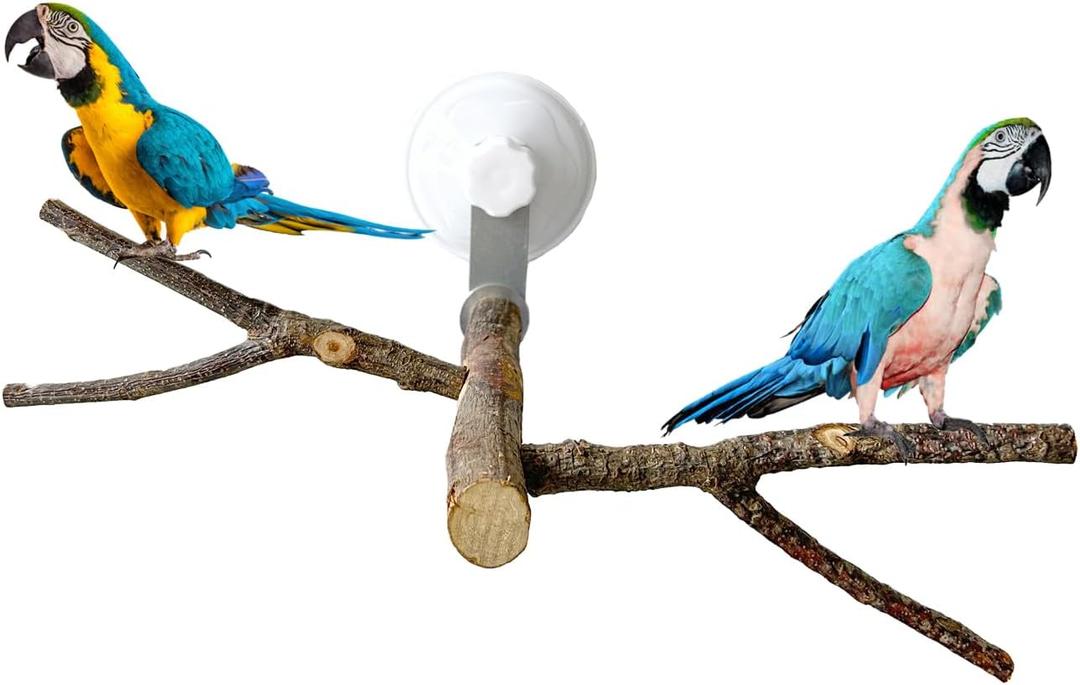Bird Perch Stand with Suction Cup, Parrot Climbing Standing Branches, Window Bath Car Travel Perch Stand for Small and Medium Bird Cockatiels Lovebirds (Two-Y-Type Wood Window Perch)