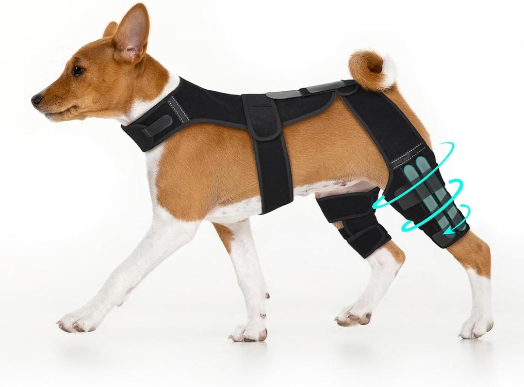 Dog Knee Brace with Vest  Adjustable Support for ACL Injuries, Hind Leg Brace for Joint Pain Relief & Recovery