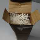 Christmas Glitter Twig Stems 24pcs Artificial Pine Tree Picks for Christmas Tree Ornaments fillers, DIY Xmas Wreath, Crafts, Garland, Holiday, Party, Wedding and Home Decoration (White)