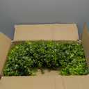 24 Inch Large Square Boxwood Wreath Spring Summer Artificial Green Wreaths for Front Door Farmhous Wedding Window Hanging Wall All Year Round Indoor & Outdoor St Patrick's Day Decor