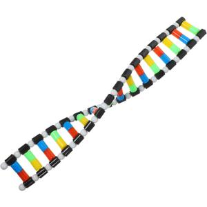 VOSAREA DNA Model Double Helix Model DNA Display Component for Science Teaching Display