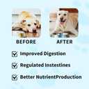 Natural Probiotic Digestive Supplement for Dogs - Probiotic Chewable with Prebiotics and Enzymes Supports Gut Health, Diarrhea & Digestion, Improve Immune System Allergy Itch Skin (1)