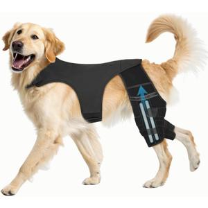 Dog Knee Brace for Hind Leg  Adjustable Dog Rear Leg Support Brace with 4 Metal Stabilizers, Helps with Torn CCL, Luxating Patella, Ligament Injuries, Hip Dysplasia,XL