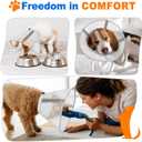 Breathable Mesh Dog Cone Collar with Soft Liner for Surgery, Elizabethan Recovery Alternative to Stop Licking,Pet Neck Collar for Large Medium Small Breeds(White,5)