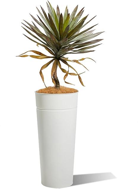 KOL 28" Tall White Metal Planter, Galvanized Steel Plant Pot with Artificial Yucca Tree & Natural Coconut Fiber for Indoor Outdoor Home Office Decor, Weather Resistance (Total Height 4.2FT)