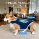 Dog Back Brace for IVDD and Slipped Disc with Metal Stays,L