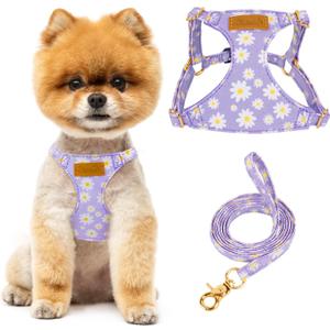 Lukovee Puppy Harness and Leash Set, No Pull Lightweight Soft Suede Adjustable Pet Harness Vest with Snap Buckle for Puppy Small and Medium Size Dog (Purple-XS)