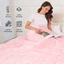 Alomidds Weighted Blanket Queen Size 20lbs 60 x 80 inches,Adult Weighted Blankets with Soft Plush Fleece,Fluffy Thick Warm Sherpa & Cozy Flannel Microfiber Heavy Blanket for Sofa Bed,Pink
