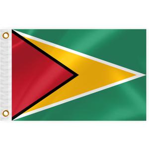 Guyana Boat Nautical Flag 12x18IN Double Sided Guyanese Marine Banner Nylon Small Yacht Sail Pontoon ATV Bike Truck Motorcycle Flag with 2 Brass Grommets