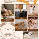 Dono Dog Diapers Female (20-60PCS), Disposable Pull it Up Diapers for Dogs Female with 360 Stretchy Waist, Diapers for Doggie in Heat Period, Super Absorbent Leak-Proof Puppy Diaper for Dogs, Elderly (Large, Pack of 2)