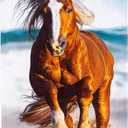 Northwest Classics Beach Towel, 30" x 60", Running Horse