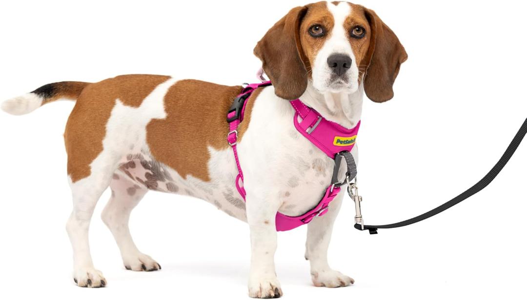 PetSafe Easy Walk Comfort No-Pull Dog Harness - Better Walk Training Harness - Full Body Padded Design - Durable Fabric - 5 Point Adjustable Fit - Everyday Leash Training - Pink - XS