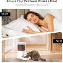PETULTRA Automatic Cat Feeder: 4L Timed Cats Food Dispenser Programmable 1-6 Meal for Cat and Small Medium Dog- Auto Pet Feeder Dual Power Supply with Stainless Steel& | Detachable Washable White