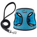 BOOMIBOO Dog Harness with Leash Set, No Pull Adjustable Reflective Step-in Puppy Pet Vest Harnesses for Small Medium Large Dogs and Cats,Blue Stripe, L