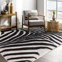 Zebra Rug Area Rugs for Living Room, 4x6 Animal Print Rug Machine Washable for Bedroom Dining Room Western Home Decor Non-Slip Low Pile Indoor Floor Carpet