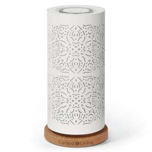 Earnest Living Waterless Diffuser 100ml Nebulizing Diffusion System for Large Ambient Space Studio Home Office Hotel Spa