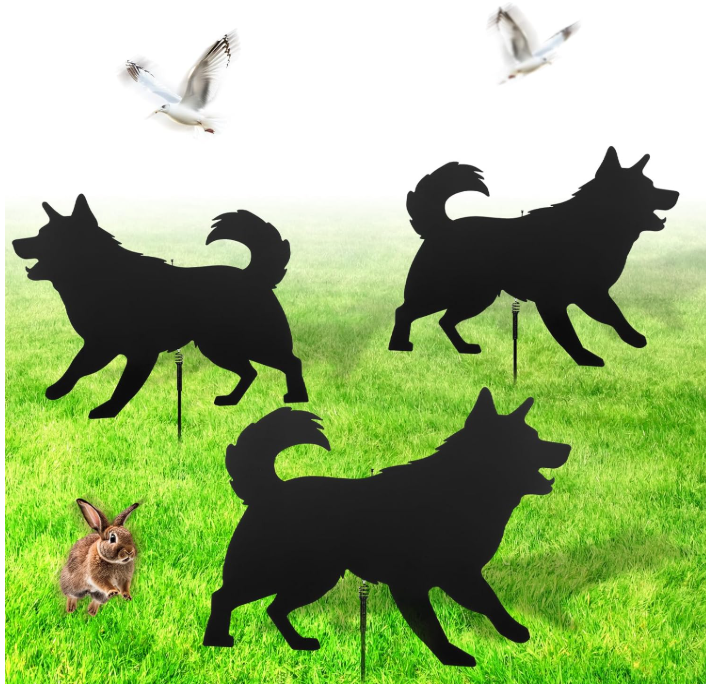 Qualirey Dog Predator Decoys Geese Deterrent Goose Hunting Decoy Accessories Predator Replica Visual Scare Device for Keep Away Pests Yard Ornament